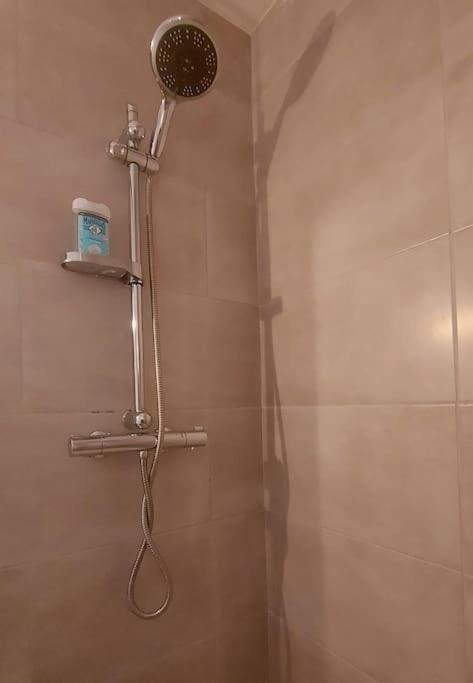 Zenith - Cartoucherie Apartment Тулуза Екстериор снимка