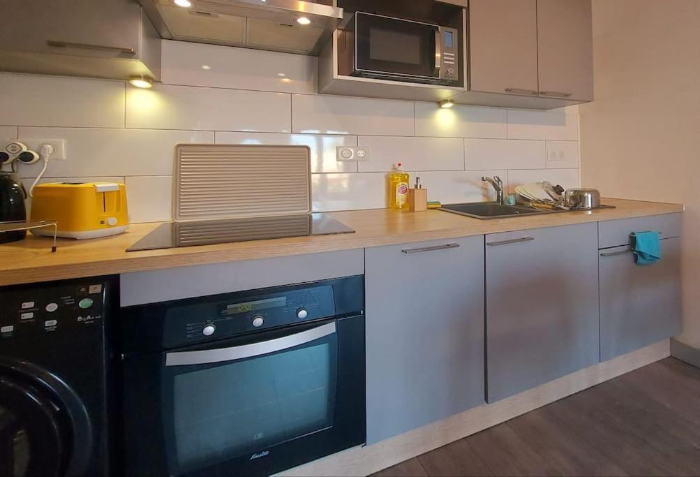 Zenith - Cartoucherie Apartment Тулуза Екстериор снимка
