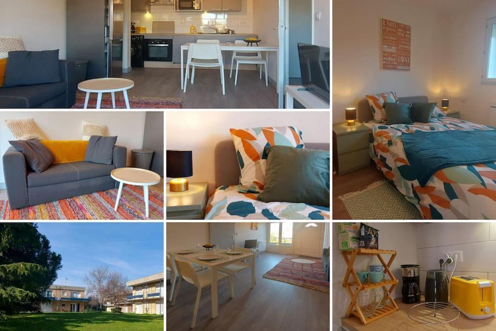 Zenith - Cartoucherie Apartment Тулуза Екстериор снимка