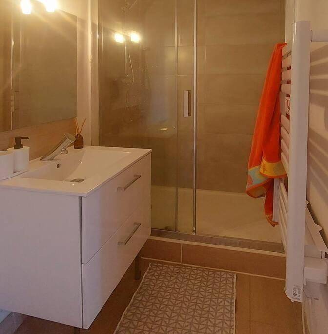 Zenith - Cartoucherie Apartment Тулуза Екстериор снимка